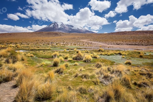 Preview: Majestic view of Volcano, clouds and desert grass in Bolivia, South America