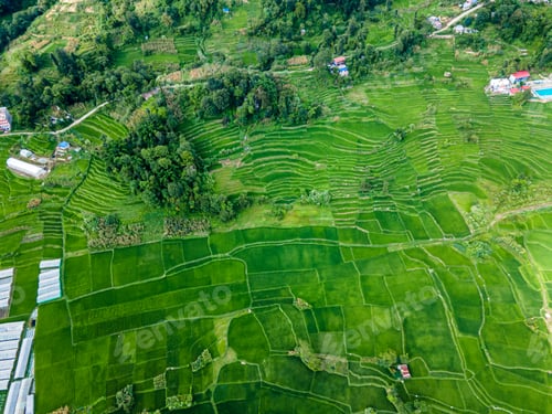 Preview: Aerial view of green paddy farmland in Nepal.