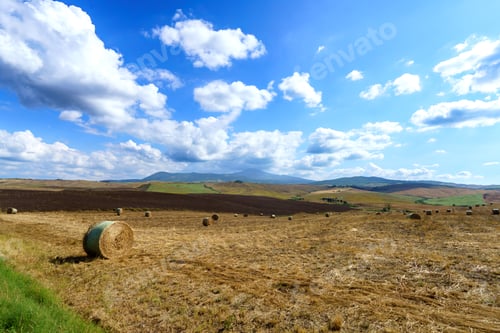 Preview: Rural landscape in Tuscany near San Quirico d Orcia