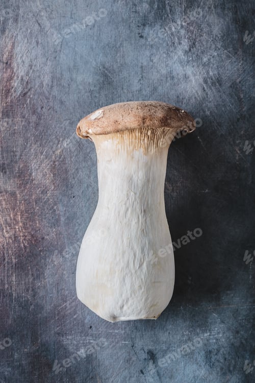 Preview: King oyster mushroom, Pleurotus eryngii, on dark background