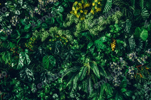 Preview: Close up group of background tropical green leaves texture and abstract background.