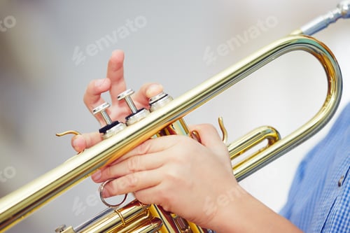 Preview: Little trumpeter