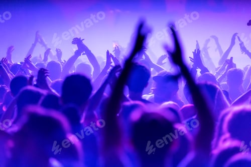 Preview: Rear view of crowd of people at live concert