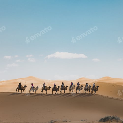 Preview: Vertical shot of people riding camels on a sand dune in the desert