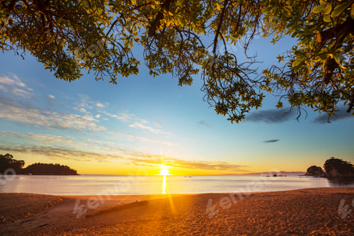 Preview: New Zealand coast