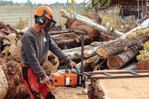 Preview: Lumberjack cutting tree trunk with giant chainsaw to make wooden planks
