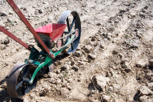 Preview: sowing