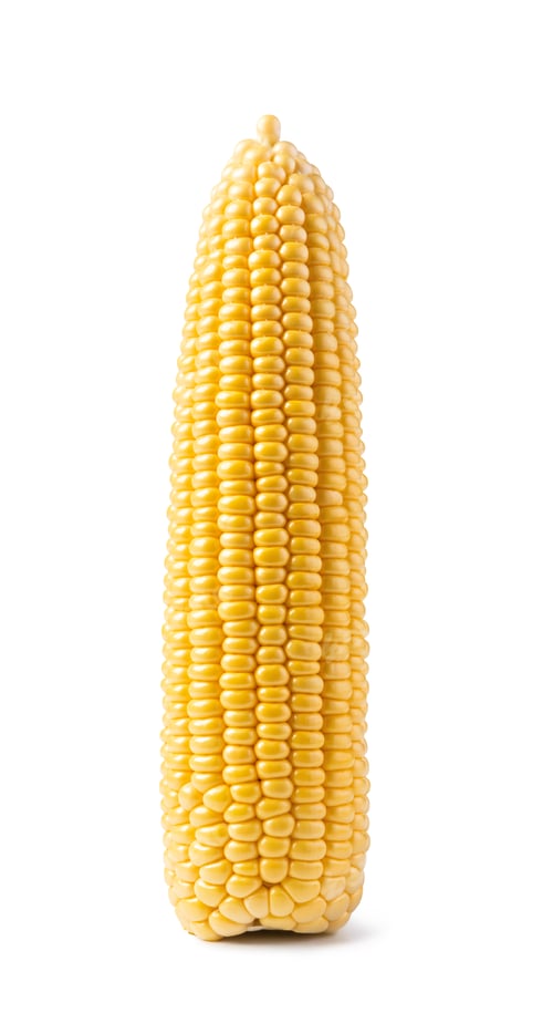 Preview: cob corn