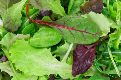 Preview: Mix salad.