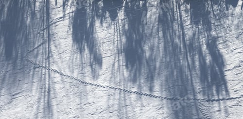 Preview: Patterns created by the wind on the snow