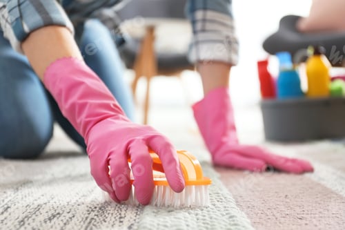 Preview: Woman cleaning carpet with brush in living room, closeup