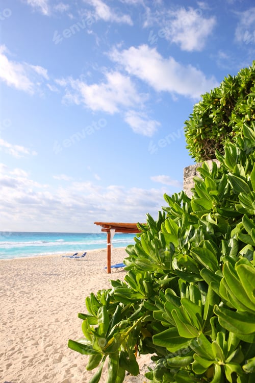 Preview: Mexican Holidays