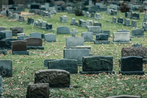 Preview: Back of Gravestones in a Old Cemetery in Autumn