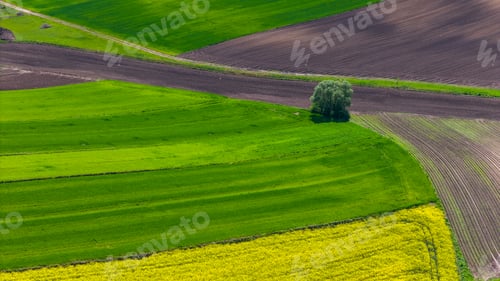 Preview: Colorful agriculture farmland and crop fields. Aerial drone view
