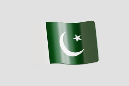 Preview: Pakistan Flag