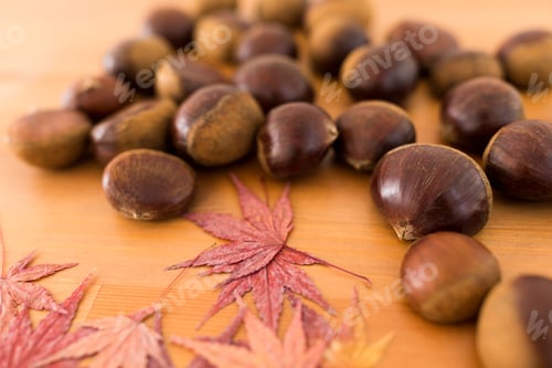 Preview: Chestnut and dried maple