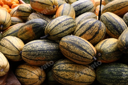 Preview: Closeup of a pile of fresh healthy pumpkins on a farmer agricultural market
