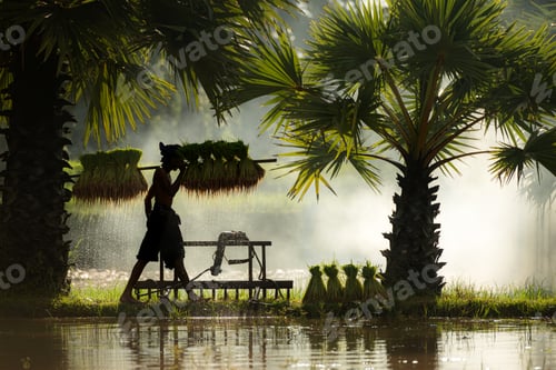 Preview: Farmers and their lifestyle of rice farming based on the seasons
