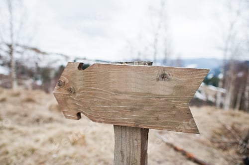 Preview: Wooden sign arrow in green forest at Carpathian forest.