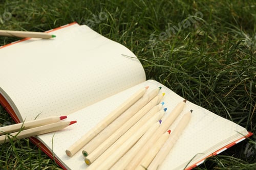 Preview: Copybook and colored pencils on green grass. Creativity