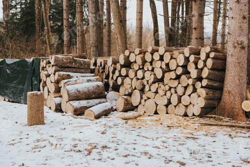 Preview: a pile of logs are stacked up in the snow at the top of a mountain