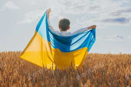 Preview: Happy Little Boy Ukrainian Patriot Child With National Flag On Wheat Background