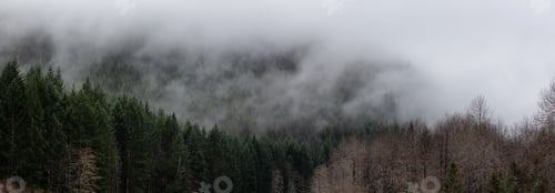 Preview: Panoramic View of Canadian Nature Landscape during a cloudy day