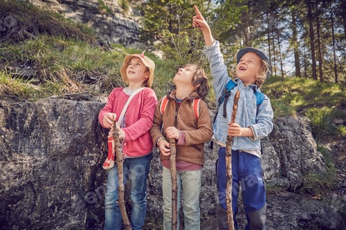 Preview: Three children in forest, standing together, looking up