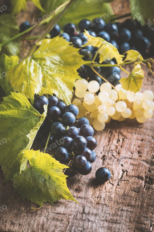 Preview: Grapes with leaves