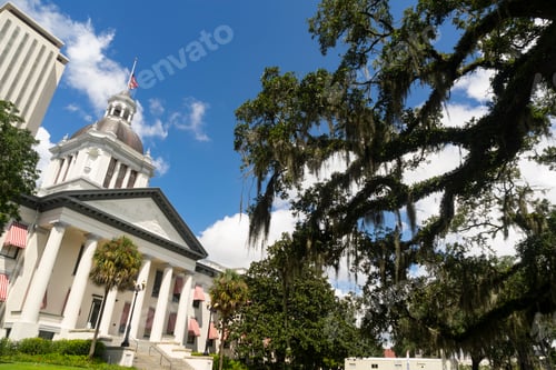 Preview: The Florida Statehouse with Blue Skies