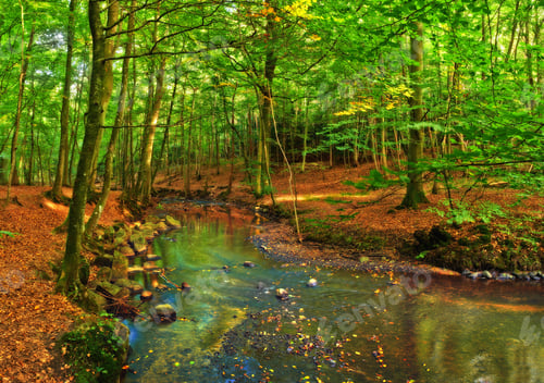 Preview: Natures beauty. Scenic shot of nature.