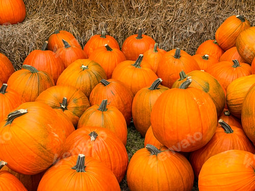 Preview: Pumpkins