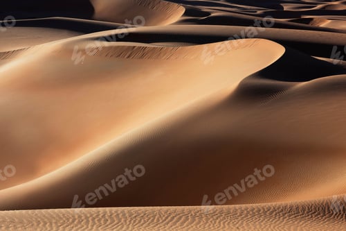 Preview: Smooth desert dunes under warm light