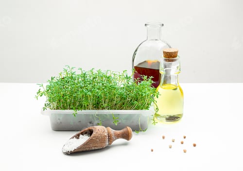 Preview: A box with micro greens