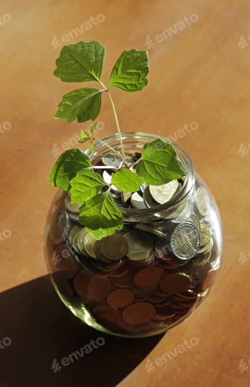 Preview: Plant growing in the jar full of euro coins - investment concept