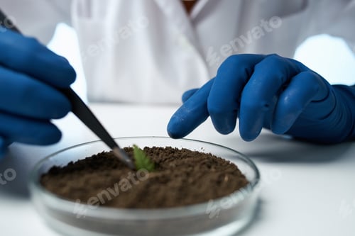 Preview: laboratory biology soil research science