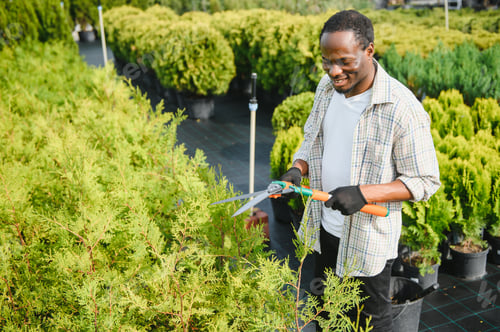 Preview: Garden worker trimming trees with scissors. garden shop