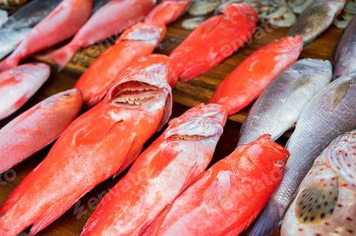 Preview: Fresh raw marine fish at market in tropical village