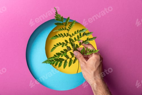 Preview: cropped view of make hand holding fern leaf on colorful paper with circles