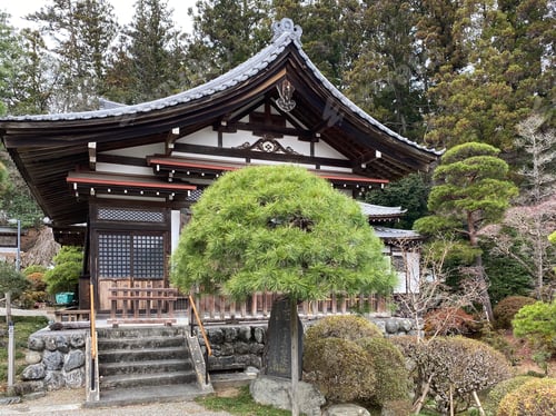 Preview: Japan