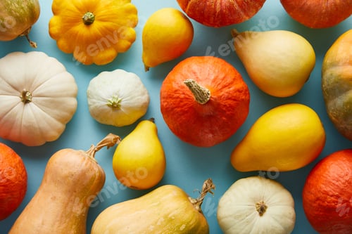 Preview: ripe whole colorful pumpkins on blue background