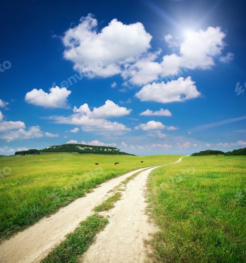 Preview: Lane in meadow