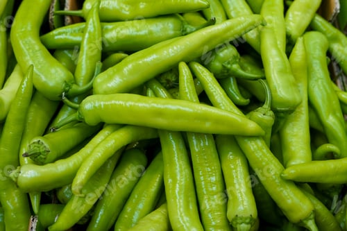 Preview: fresh organic green chilli from farm close up from different angle, green paprika