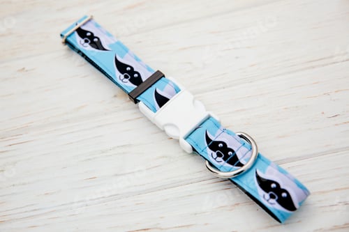 Preview: Dog Collar and Leash set. Pet Supplies and Walking Gear Collection