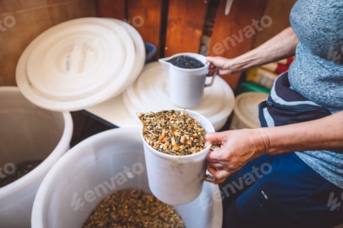 Preview: Unrecognizable woman taking grains to the horses stables