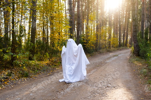Preview: child in sheets with cutout for eyes like a ghost costume in an autumn forest