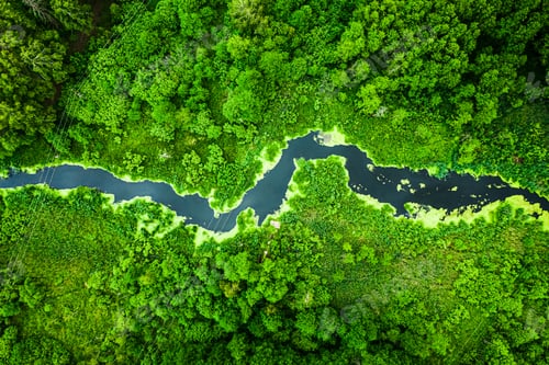 Preview: Stunning green forest and the river in spring, flying above