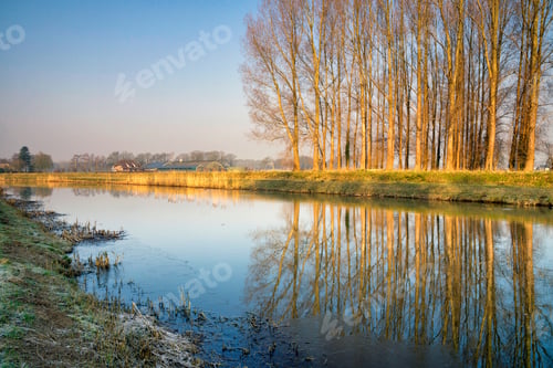 Preview: Row of trees along the river Berkel