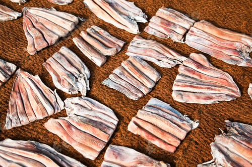 Preview: dried fish on the beach