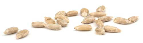 Preview: Sunflower seeds isolated on white background